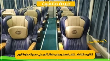 القائمة الكاملة.. ننشر أسعار ومواعيد قطار تالجو على جميع الخطوط اليوم 1